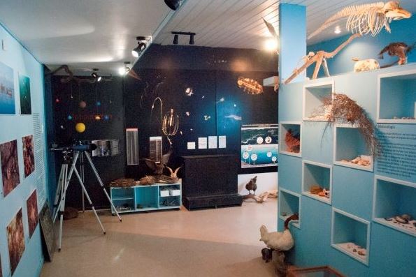Museo Escolar Hugo Gunckel