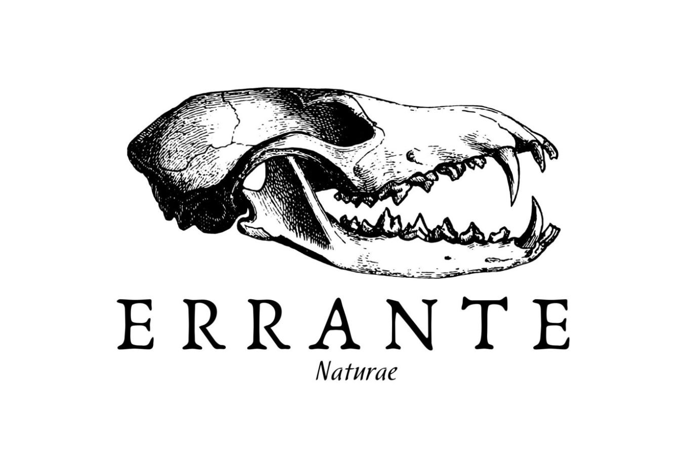 Errante