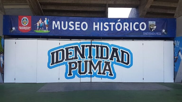 Museo Identidad Puma